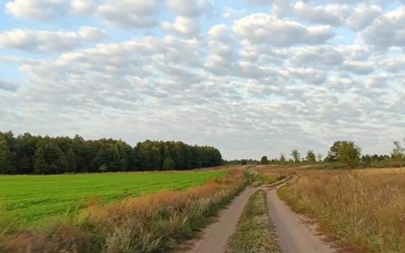 В Самарской области завершилась охота на степного сурка: разрешения нужно сдать до 20 октября — Самарское информбюро
