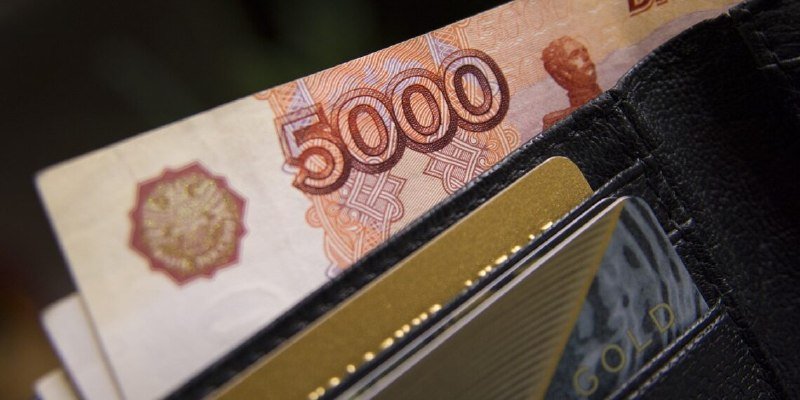 В Самарской губернской думе назначили зарплату 18 депутатам
