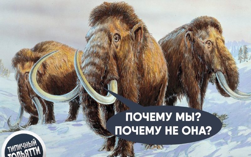 Школьница из Ставропольского района отдала курьеру 2,2 млн за «спасение от терроризма» — Самарское информбюро