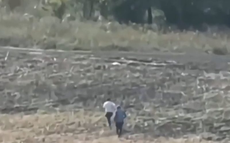 В Самарской области полиция ловила нелегалов в теплицах с помощью беспилотника — Самарское информбюро